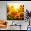 Leinwandbild Sonnenblumen Im Abendlicht Quadrat Produktvorschau