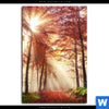 Leinwandbild Sonnenlicht Im Nebligen Wald Hochformat Motivvorschau