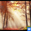 Leinwandbild Sonnenlicht Im Nebligen Wald Hochformat Zoom