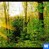 Leinwandbild Sonnenlicht Im Wald Hochformat Zoom