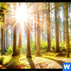 Leinwandbild Sonniger Wald Hochformat Zoom