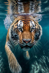 Leinwandbild Tauchender Tiger Hochformat Crop