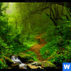 Leinwandbild Tropischer Dschungel Schmal Zoom