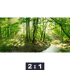 Leinwandbild Wald Mit Bach Querformat Motivorschau Seitenverhaeltnis 2 1
