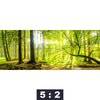 Leinwandbild Wald Mit Sonnenstrahlen Panorama Motivorschau Seitenverhaeltnis 5 2