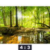 Leinwandbild Wald Mit Sonnenstrahlen Querformat Motivorschau Seitenverhaeltnis 4 3