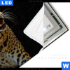 Leuchtbild Leopard In Der Dunkelheit Querformat Material