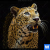 Leuchtbild Leopard In Der Dunkelheit Querformat Zoom