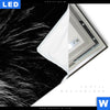 Leuchtbild Loewe Mit Blauen Augen Panorama Material