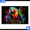 Leuchtbild Papagei Mit Bunten Farbspritzern Querformat Motivvorschau