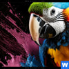 Leuchtbild Papagei Mit Bunten Farbspritzern Querformat Zoom