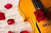 Leuchtbild Violine Rose Querformat Crop