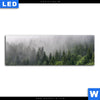 Leuchtbild Wald Im Nebel Panorama Motivvorschau