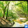 Leuchtbild Wald Mit Bach Schmal Zoom