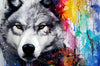 Leuchtbild Wolf Mit Bunten Farbspritzern Querformat Crop