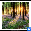 Poster Bluehender Wald Bei Sonnenaufgang Quadrat Motivvorschau