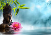 Poster Buddha Statue Mit Seerose Querformat Crop