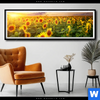 Poster Leuchtend Gelbe Sonnenblumen Am Abend Panorama Produktvorschau