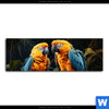 Poster Papageien Auf Einem Ast Panorama Motivvorschau