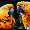 Poster Papageien Auf Einem Ast Panorama Zoom