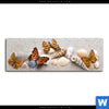 Poster Schmetterlinge Muscheln Im Sand Panorama Motivvorschau