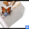 Poster Schmetterlinge Muscheln Im Sand Quadrat Material