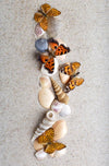 Poster Schmetterlinge Muscheln Im Sand Schmal Crop