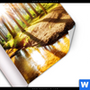 Poster Sonniger Wald Quadrat Material