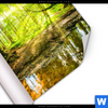 Poster Wald Mit Sonnenstrahlen Quadrat Material