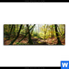Spannbild Natuerlicher Wald Panorama Motivvorschau
