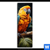 Spannbild Papageien Auf Einem Ast Schmal Motivvorschau