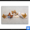 Spannbild Schmetterlinge Muscheln Im Sand Querformat Motivvorschau