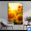 Spannbild Sonnenblumen Im Abendlicht Hochformat Produktvorschau