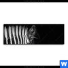 Spannbild Zebra Schwarzweiss Panorama Motivvorschau
