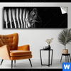 Spannbild Zebra Schwarzweiss Panorama Produktvorschau