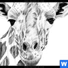 Wechselmotiv Bleistiftzeichnung Giraffe Panorama Zoom