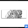 Wechselmotiv Bleistiftzeichnung Zebra Panorama Motivvorschau
