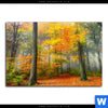 Wechselmotiv Herbstfarben Im Nebligen Wald Querformat Motivvorschau