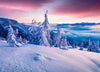 Wechselmotiv Sonnenaufgang Im Schnee Panorama Crop