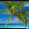 Wechselmotiv Weisser Strand Kokospalme Panorama Zoom