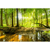 Wechselmotiv Wald mit Sonnenstrahlen Querformat Motive wandbild.com