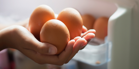 farm fresh egg for preserving eggs