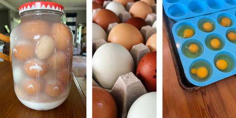 methods to preserve eggs