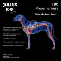 Julius-K9 Pettorina Profesionale per Cani - Pet Shop Luna
