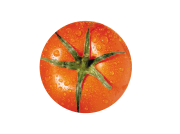  Tomato Carotenoids
