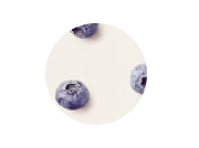 Blueberry Necta