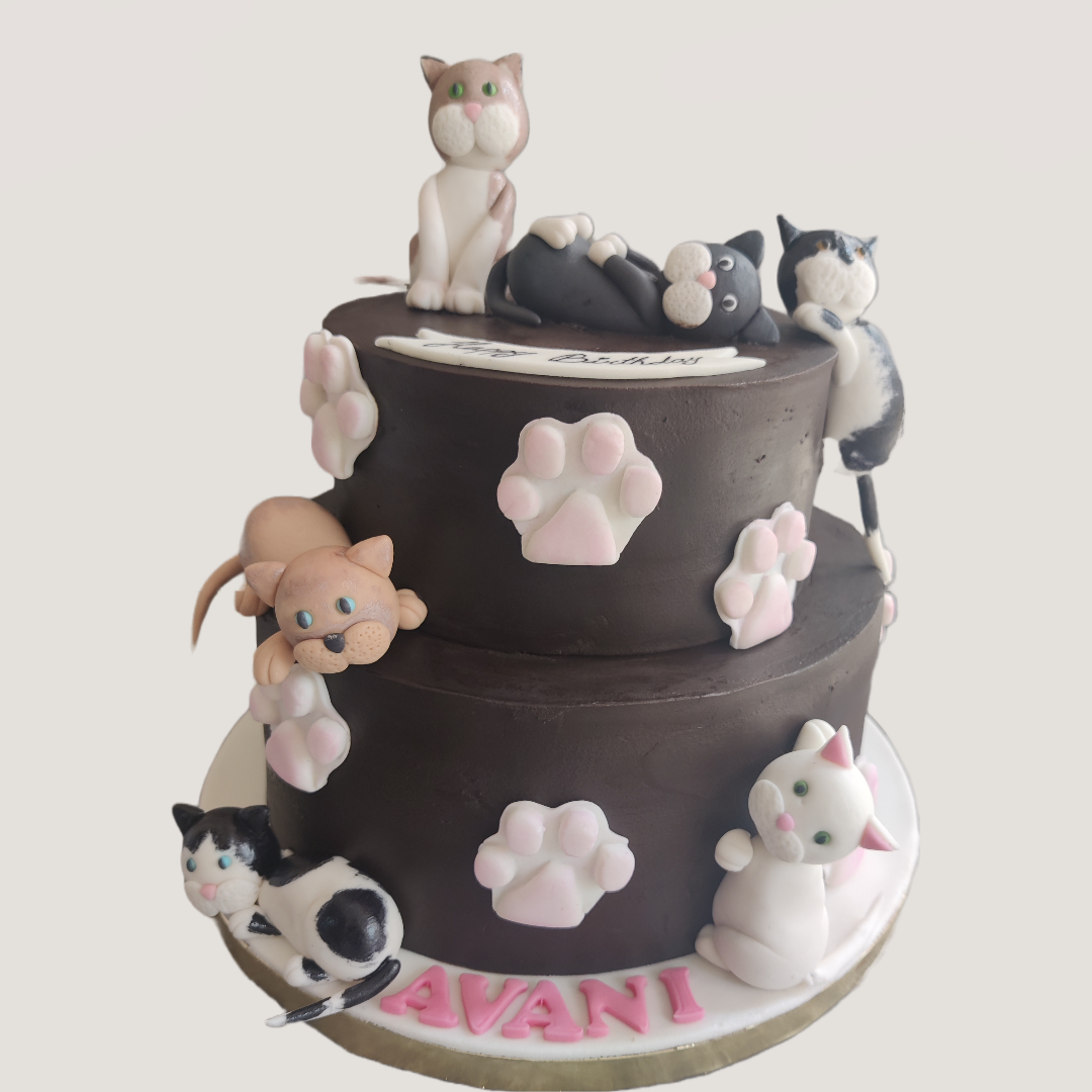 Cats Love Ganache Cake – Crave by Leena