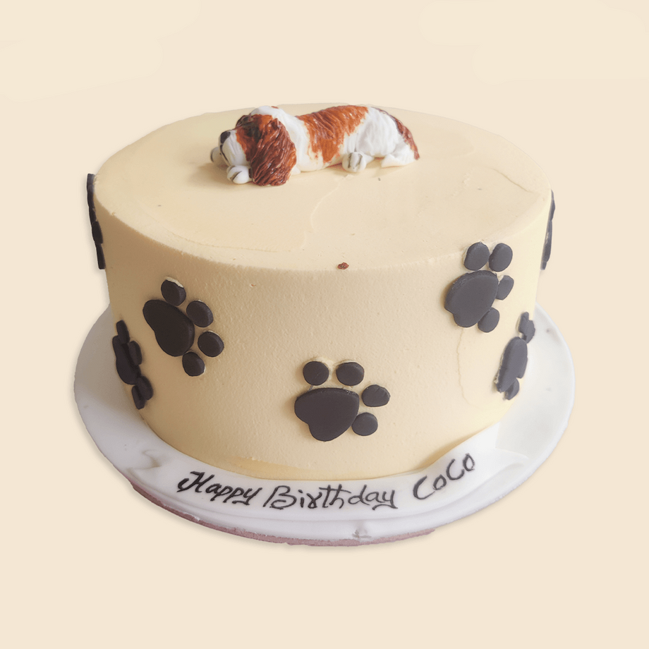 Dog & paw cake. – Crave by Leena