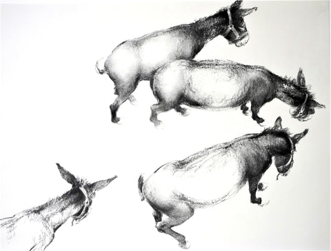 Francesco Parimbelli Donkey Art