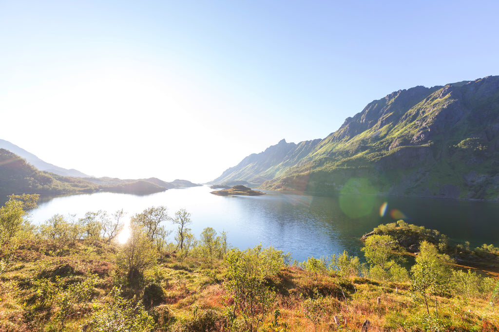 Lofoten Links